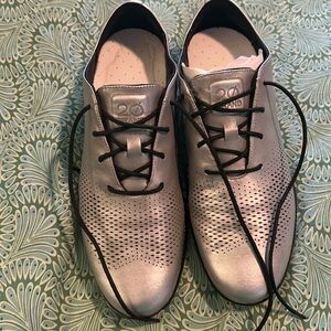 Silver Cole Han loafer shoe